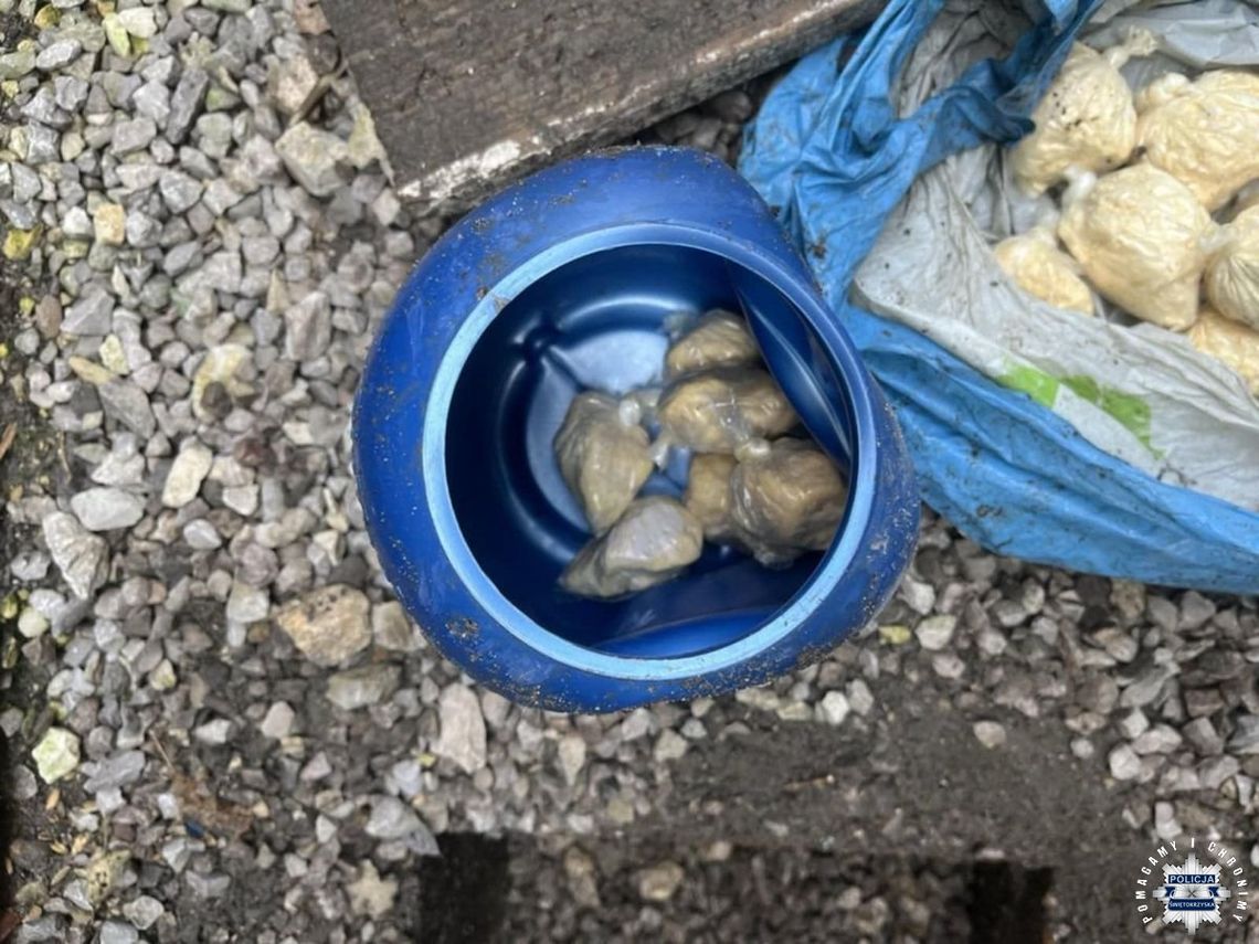 Prawie 2 kg amfetaminy w pojemniku zakopanym na posesji. Zatrzymano kobietę