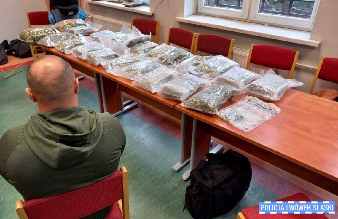 Przejęte ponad 12 kg marihuany i pieniądze. Trzech handlarzy zatrzymanych. A zaczęło się drobnej wpadki ponad rok temu