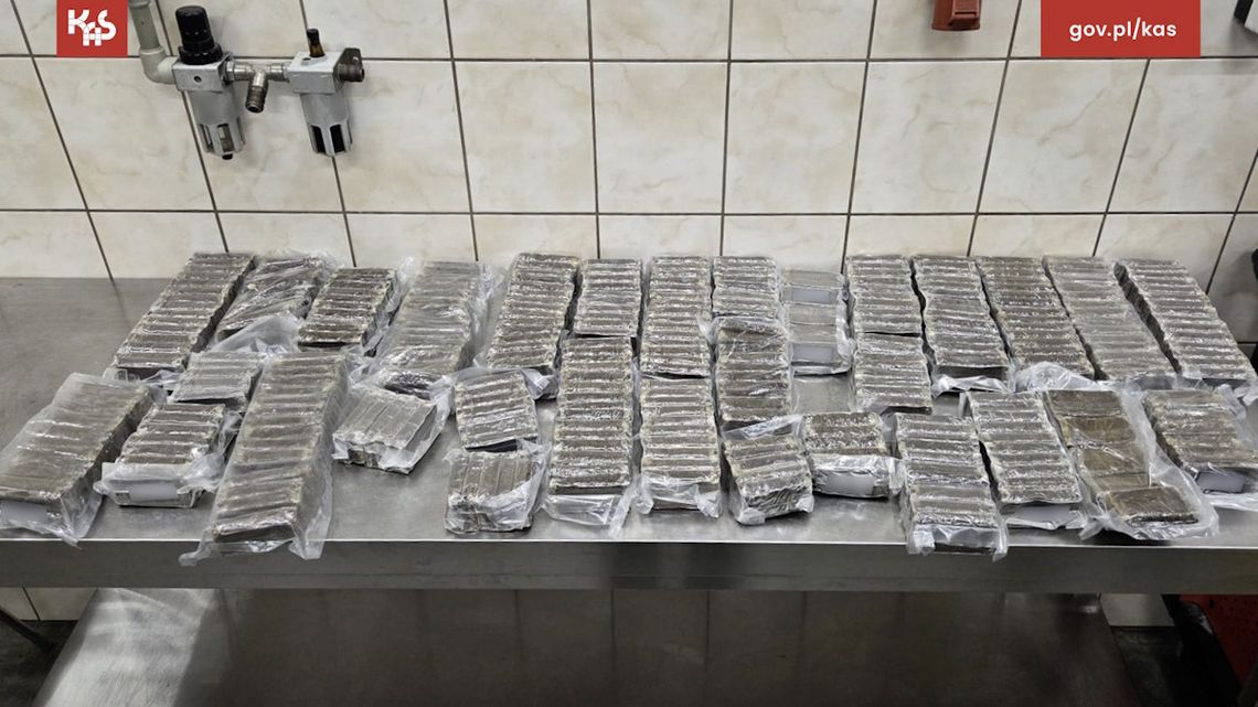 Przemycał 40 kg haszyszu w baku i nadkolach auta. Kurier wpadł na granicy z Rosją