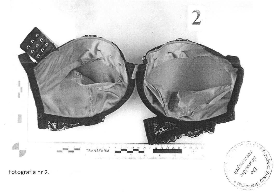 Przemycali kokainę w bieliźnie i opakowaniach po słodyczach. W gangu pięć kobiet i dwóch mężczyzn