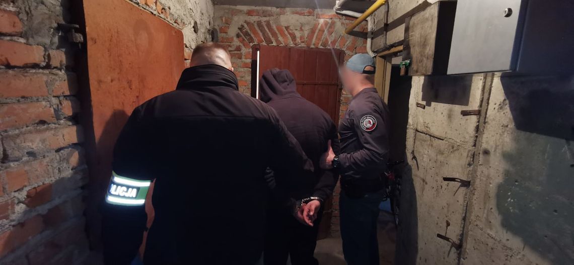 Przemycali marihuanę i haszysz z Hiszpanii do Polski. Służby zatrzymały pięciu młodych mężczyzn