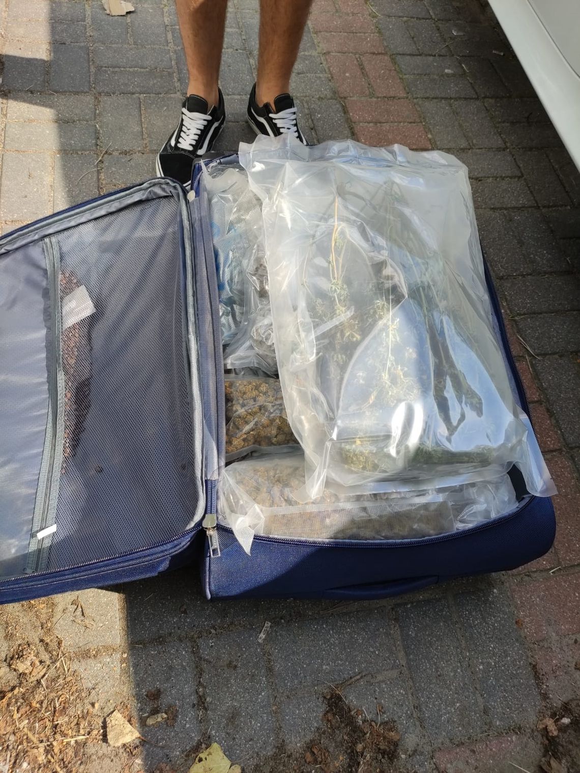 Przemyt narkotyków w pociągu Warszawa-Berlin. Służby przejęły towar wart ponad milion złotych