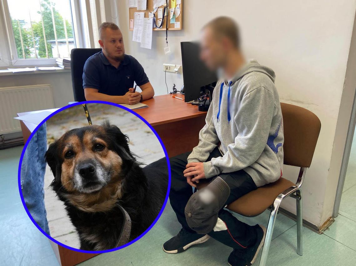 Przerażony pies biegał po ruchliwym skrzyżowaniu. Właściciel wcześniej próbował oddać go do schroniska