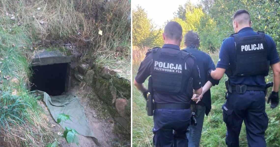 Przez 12 lat ukrywał się przed policją. Znaleźli go w ruinach piwnicy na terenie gęstego lasu