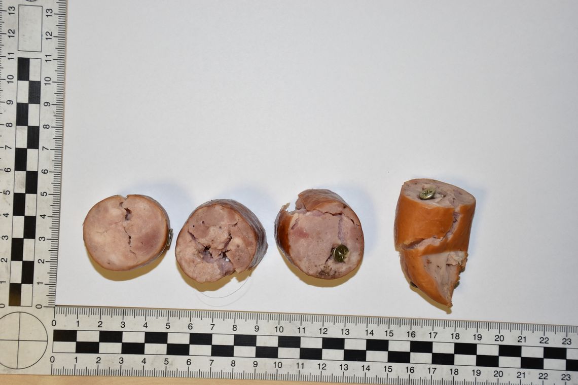 Przez kilka tygodni rozrzucał na trawnikach kiełbasę z gwoźdźmi. Policjanci namierzyli sprawcę