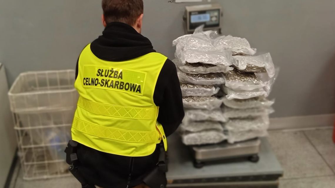 Przyleciał z Tajlandii, w bagażu miał 24 kg marihuany. Portugalczyk zatrzymany w Warszawie