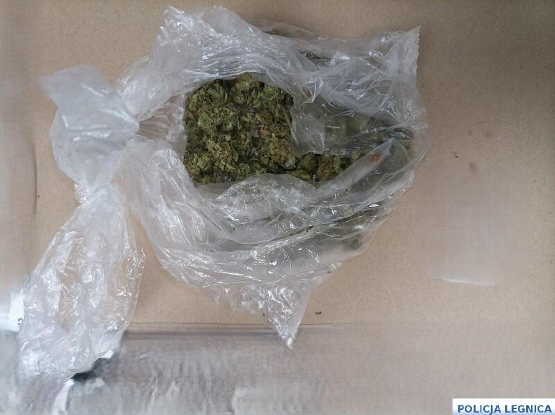 Przypalony garnek zdradził sekrety lokatora. Marihuana w chlebaku i dzieci pod „opieką”