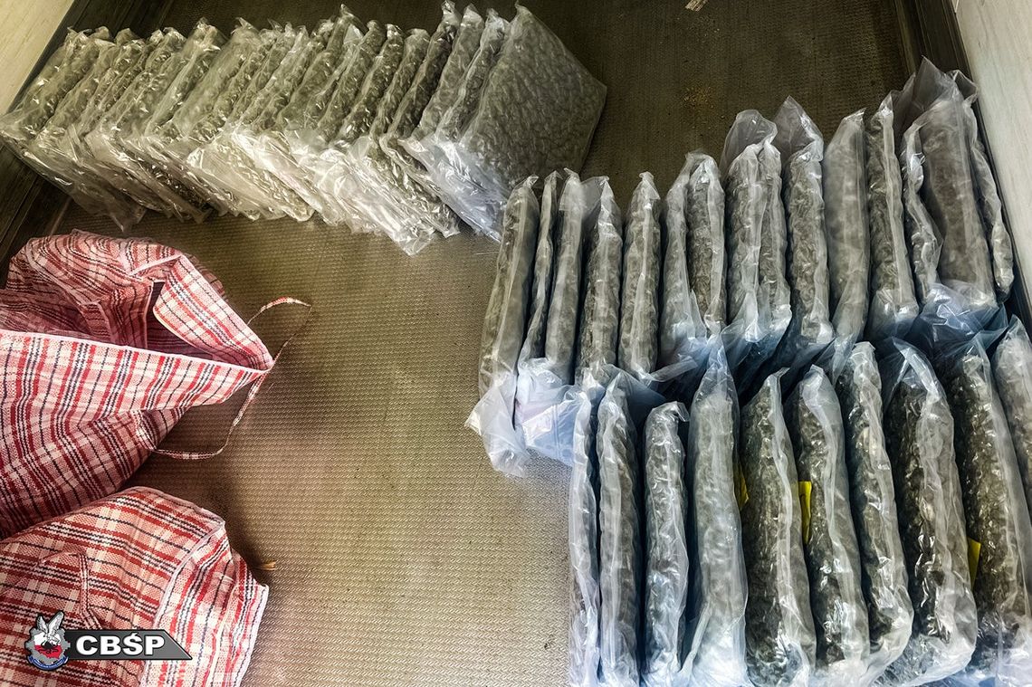 Pseudokibice przemycali narkotyki na ogromną skalę. Służby rozbiły zorganizowaną grupę przestępczą