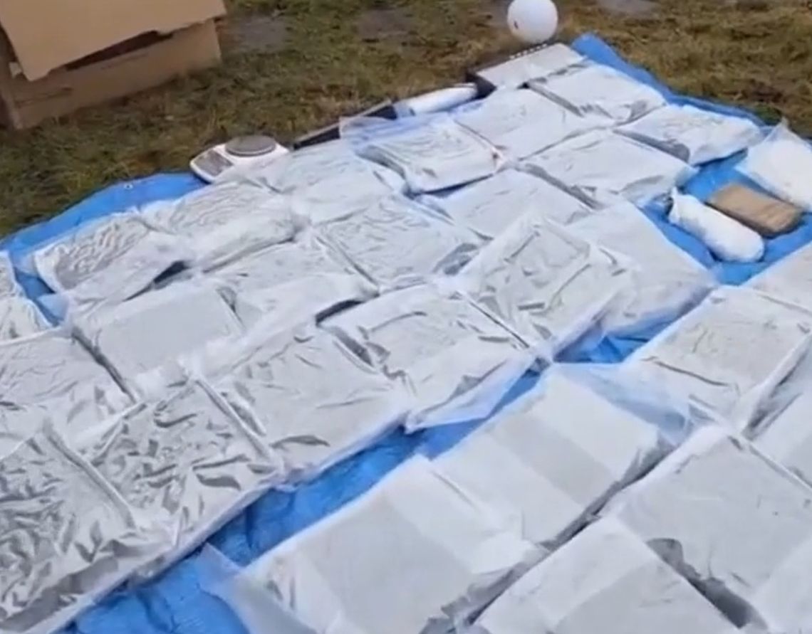 Punkt przeładunkowy narkotyków na działkach. Policjanci przejęli blisko 60 kilogramów towaru. WIDEO