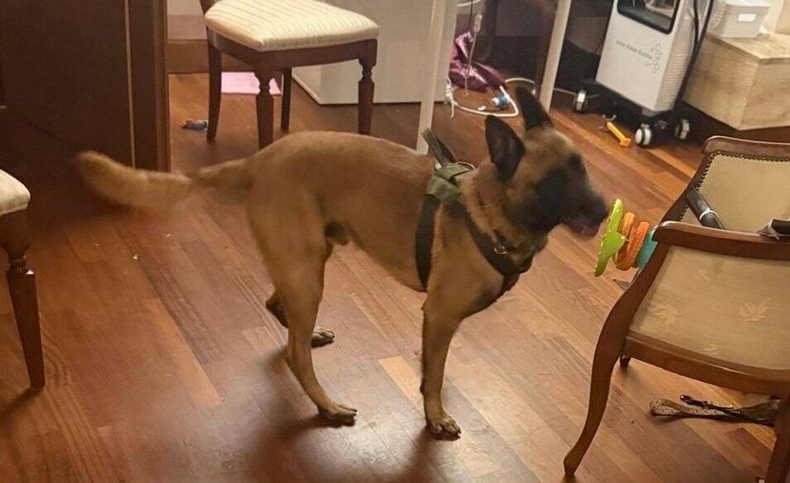 Raporty Sanepidu ściągnęły uwagę policji na szajkę dilerów. Podczas akcji zatrzymano 9 osób