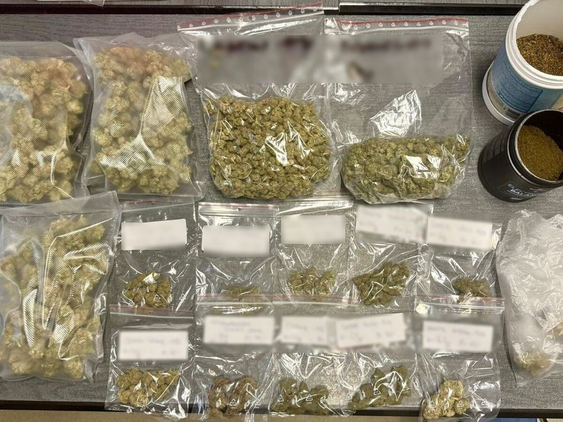 Recydywista trzymał w mieszkaniu ponad 700 gramów marihuany. Grozi mu nawet 10 lat więzienia Recydywista trzymał w mieszkaniu ponad 700 gramów marihuany. Grozi mu nawet 10 lat więzienia
