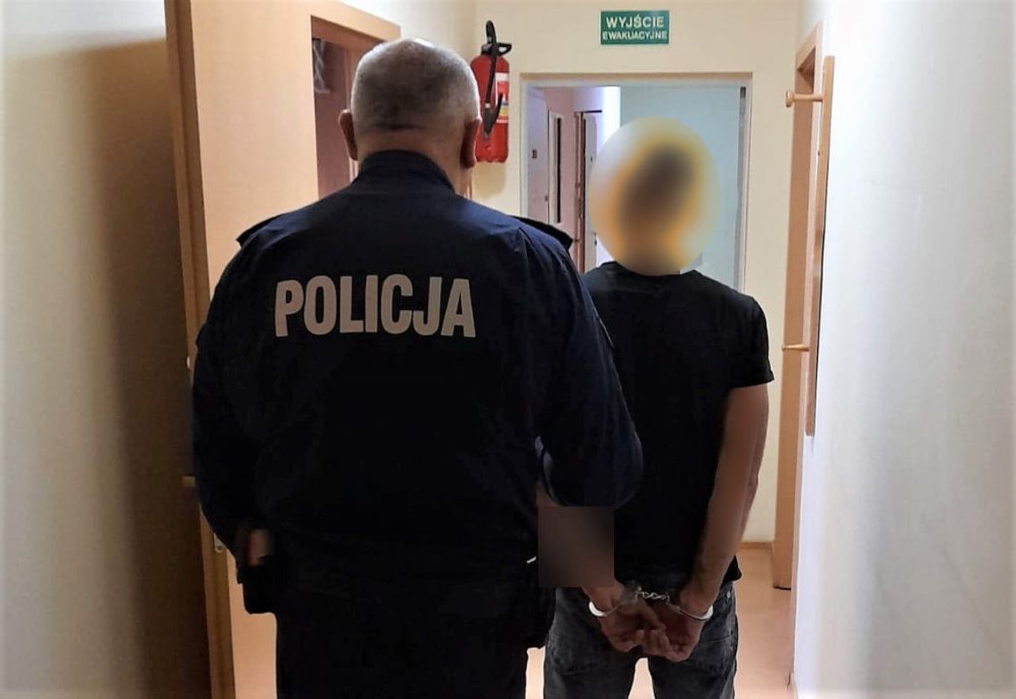 Robił bardachę w domu, po przyjeździe złapał metalowy młotek i zaatakował policjantów