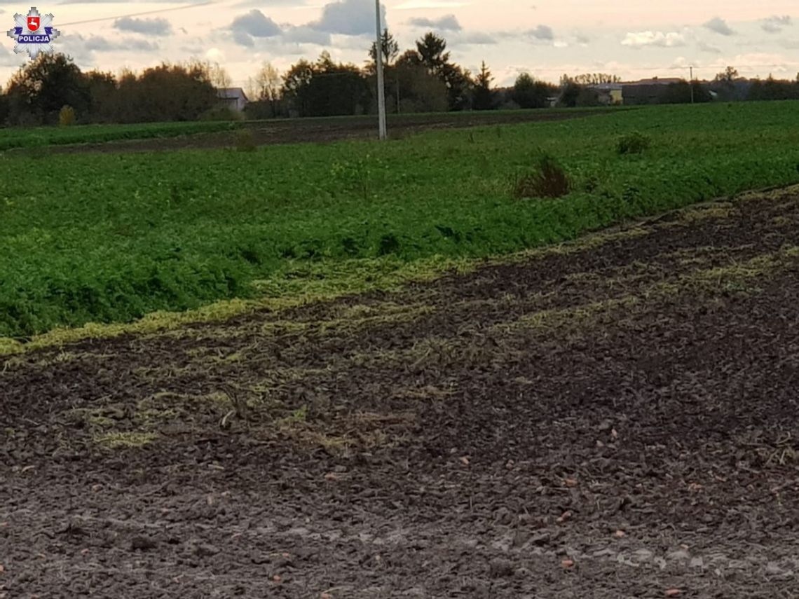 Rodzina na jumie: Zięć na czatach, żona za słupem, teściowa w budzie dla psa