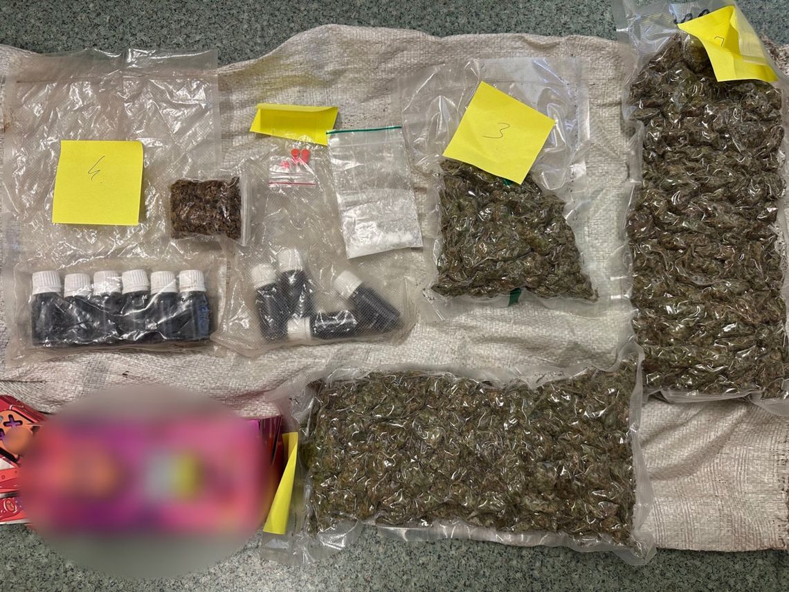 Rodzina rolników ukrywała narkotyki. Marihuana pod zbożem, towar w dojarkach do mleka Rodzina rolników ukrywała narkotyki. Marihuana pod zbożem, towar w dojarkach do mleka