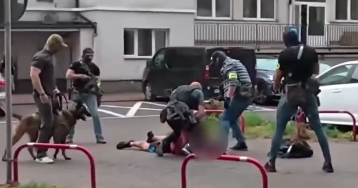 Rozbito gigantyczną siatkę fałszerzy leków. Przejęto towar wart ponad 15 milionów zł. WIDEO Rozbito gigantyczną siatkę fałszerzy leków. Przejęto towar wart ponad 15 milionów zł. WIDEO