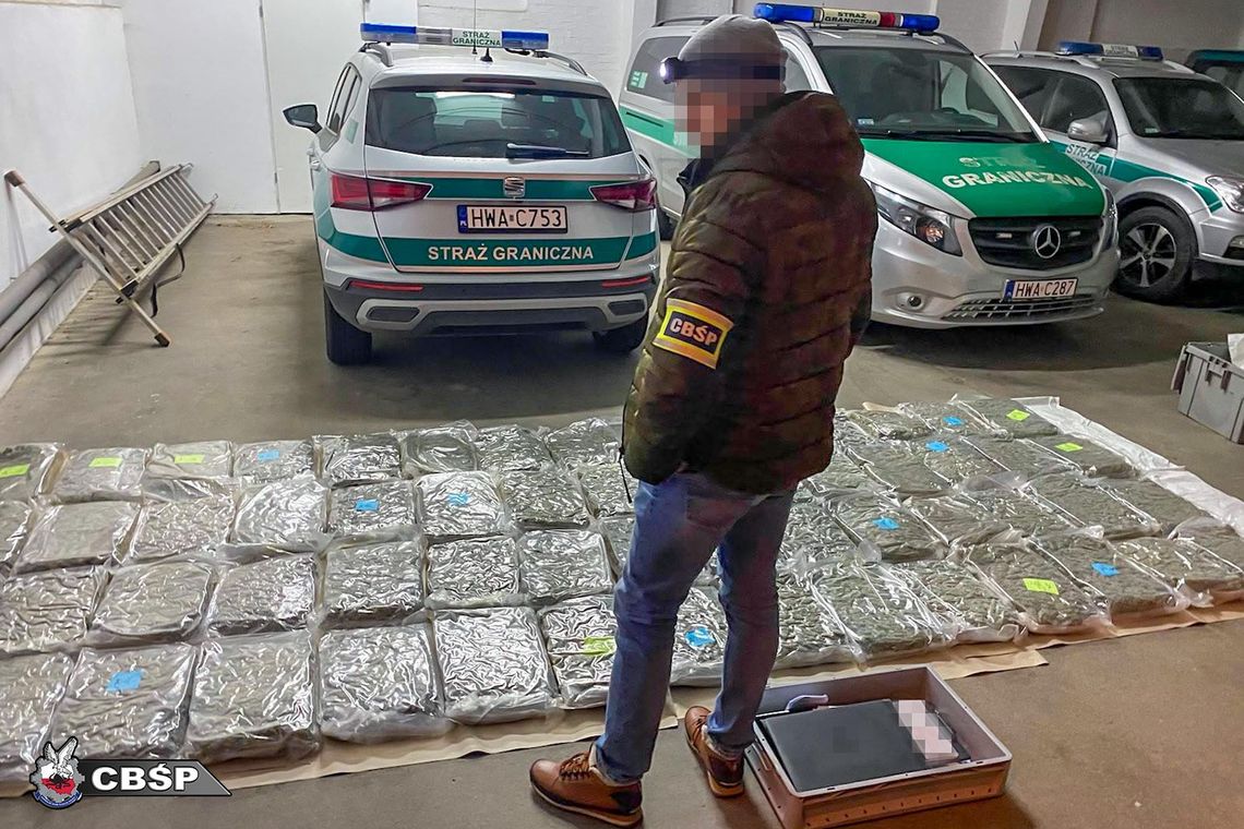 Rozbity gang narkotykowy. 42 osoby zatrzymane, ponad 300 kg narkotyków w obrocie Rozbity gang narkotykowy. 42 osoby zatrzymane, ponad 300 kg narkotyków w obrocie