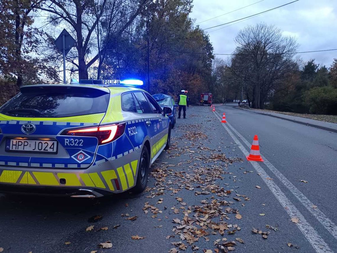 Rozpędzona osobówka wjechała w pracownika porządkującego drogę. Mężczyzna zginął na miejscu Rozpędzona osobówka wjechała w pracownika porządkującego drogę. Mężczyzna zginął na miejscu
