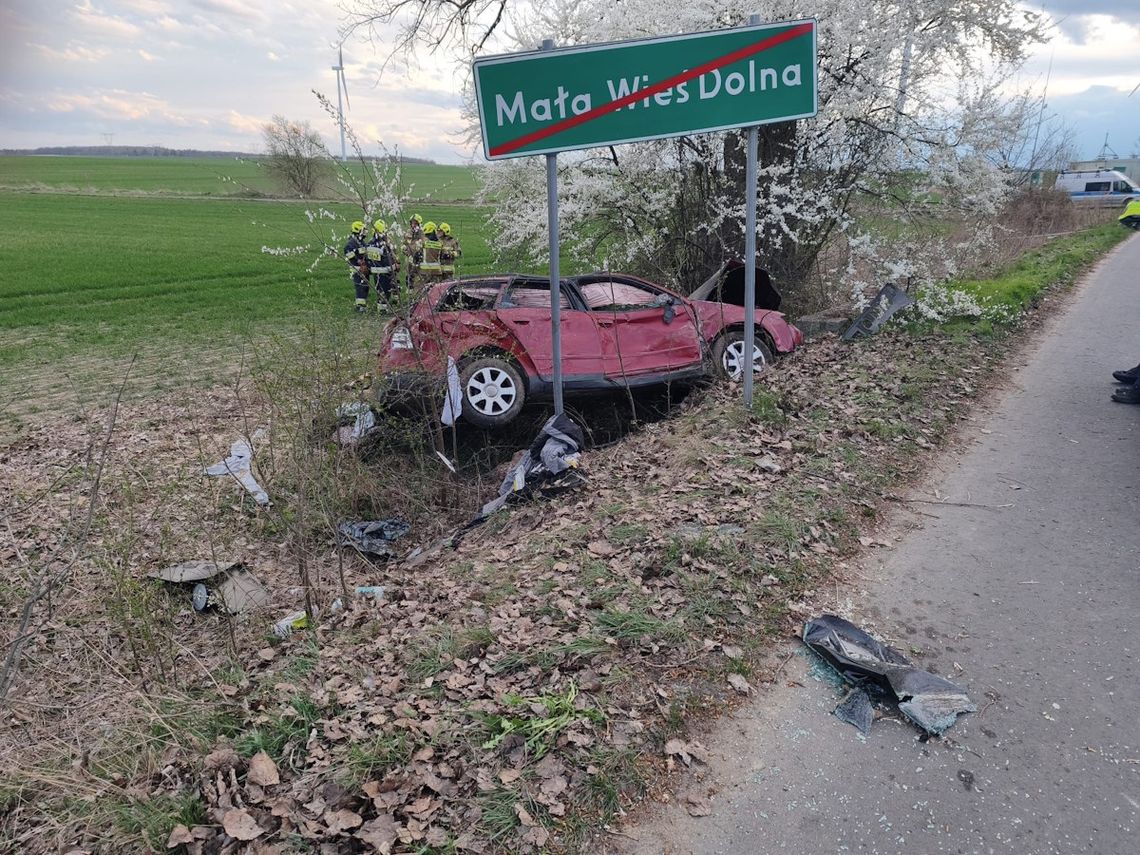 Rozpędzone Audi uderzyło w drzewo. Zginęła 17-letnia dziewczyna, dwie osoby zostały ranne