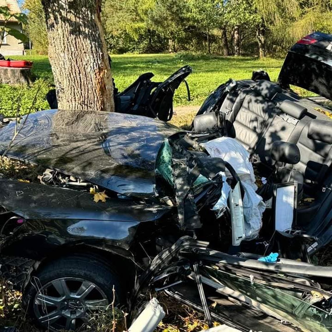 Rozpędzone audi wbiło się w drzewo. W wypadku zginęło dwóch młodych mężczyzn [FOTO]