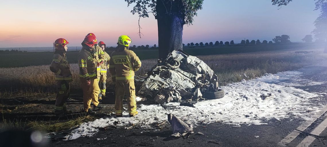 Rozpędzone BMW wbiło się w drzewo, kierowca zginął w płonącym pojeździe [ZDJĘCIA]