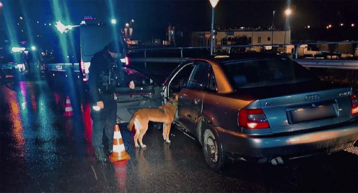 Ścigany kierowca porzucił samochód. Policyjny pies odnalazł mężczyznę w krzakach Ścigany kierowca porzucił samochód. Policyjny pies odnalazł mężczyznę w krzakach