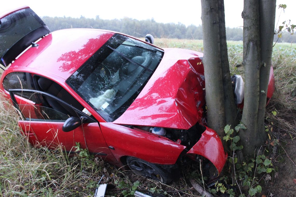 Seat uderzył w drzewo. Za kierownicą 19-latek bez prawa jazdy, tester wykazał marihuanę Seat uderzył w drzewo. Za kierownicą 19-latek bez prawa jazdy, tester wykazał marihuanę