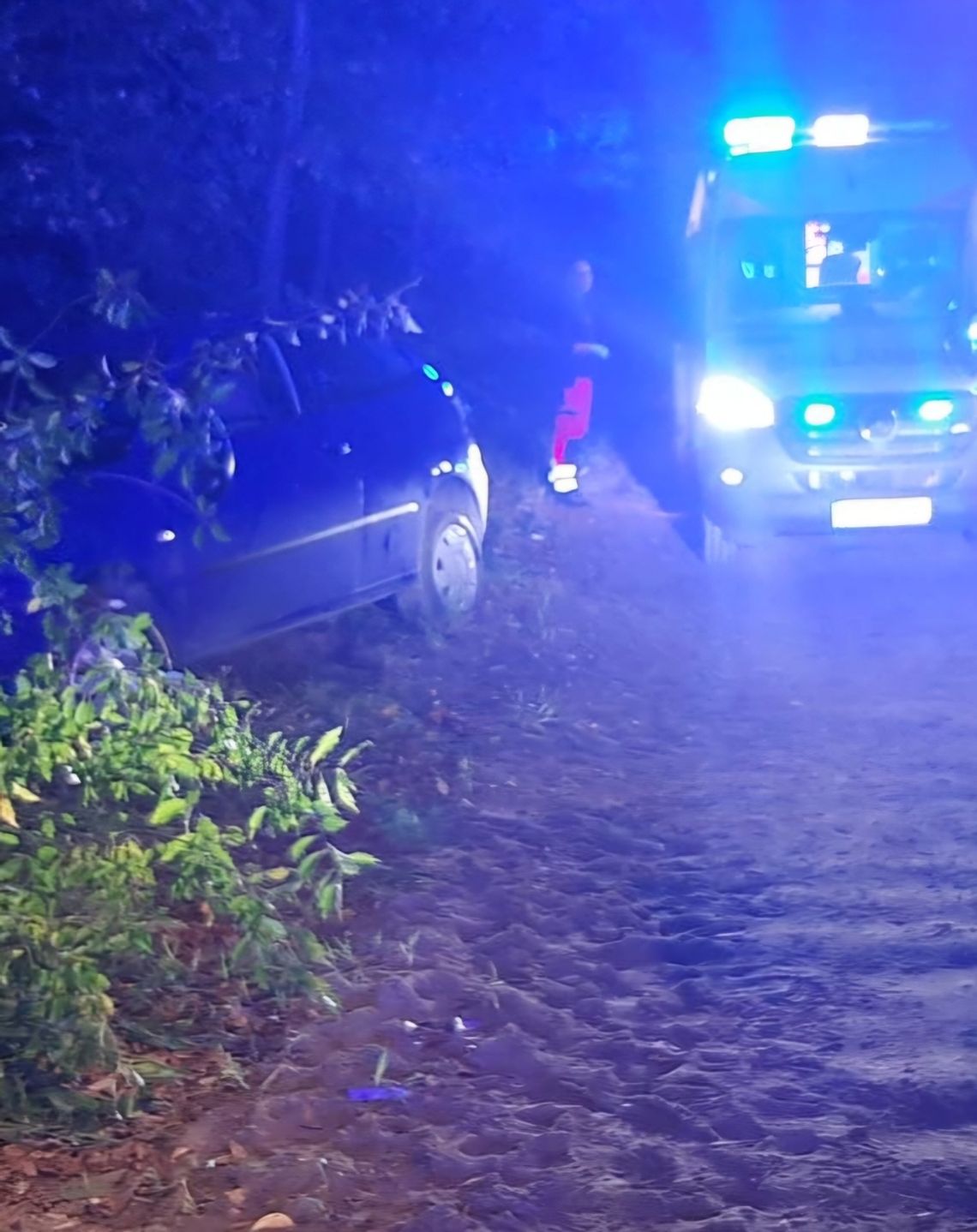Seat wjechał w kolumnę uczniów. Kierowca miał ponad promil alkoholu Seat wjechał w kolumnę uczniów. Kierowca miał ponad promil alkoholu