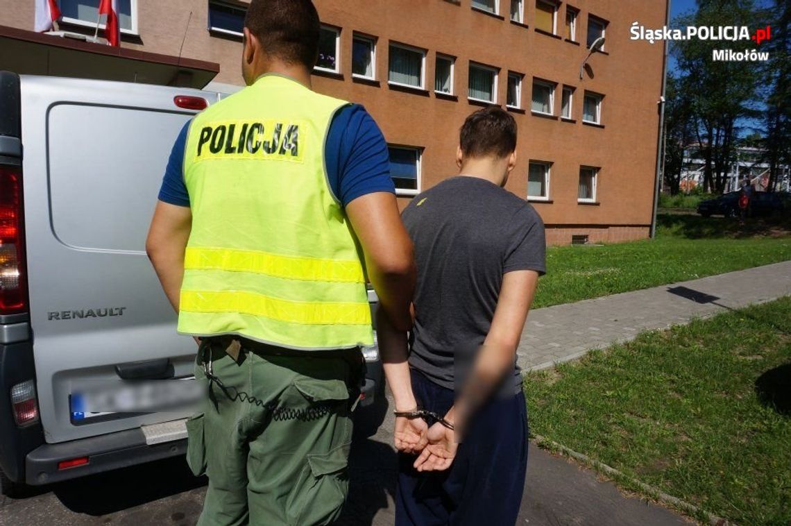 Sebolom zachciało się zabawy w gangsterkę. Porwali chłopaka i wywieźli do lasu