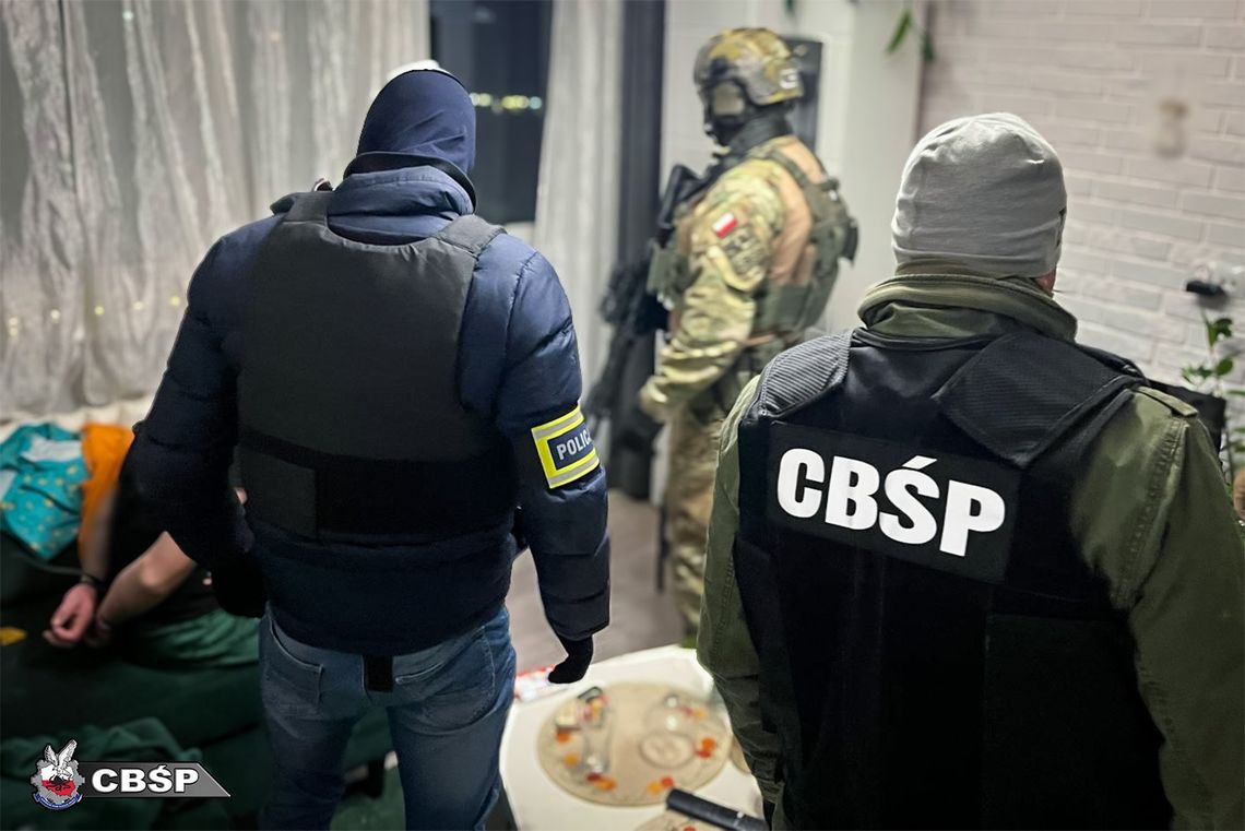 Serbowie rozkręcali narkobiznes w Polsce. W wynajmowanych domach prowadzili plantacje konopi