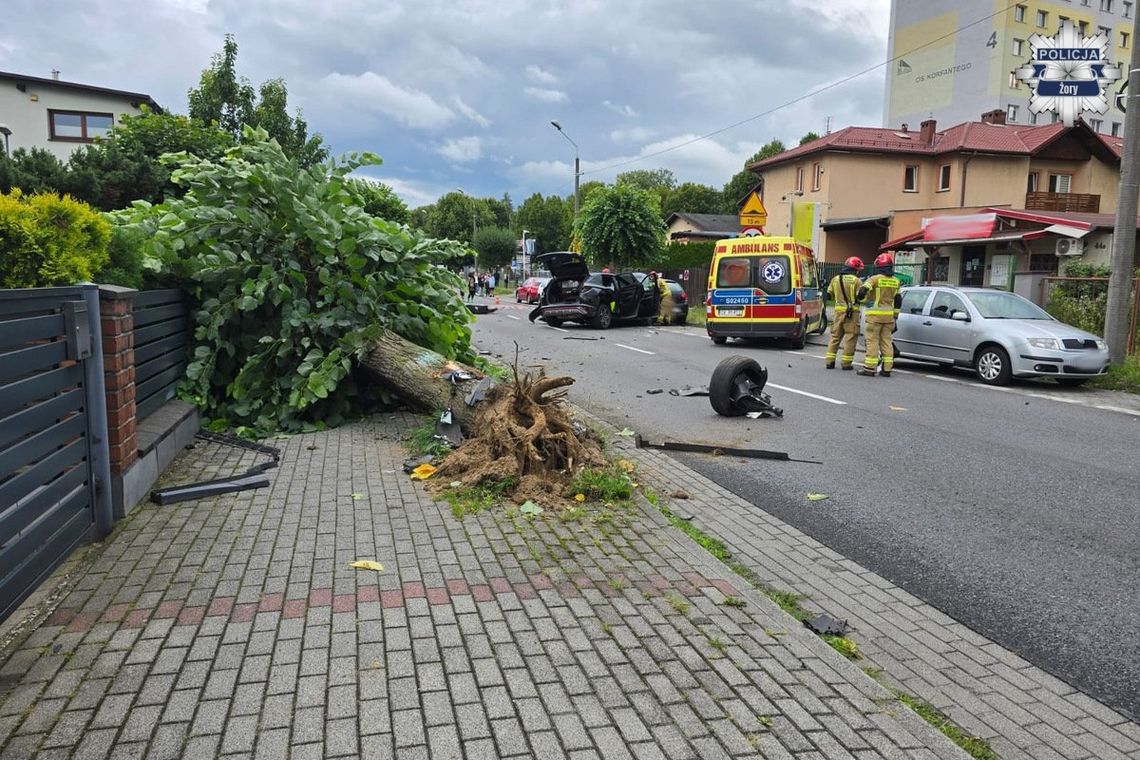 Siła uderzenia była ogromna. Auto wyrwało drzewo i wpadło w zaparkowany samochód Siła uderzenia była ogromna. Auto wyrwało drzewo i wpadło w zaparkowany samochód