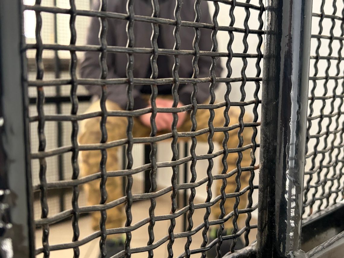 Siłą wszedł do mieszkania byłej dziewczyny, pobił ją po twarzy i okradł. Miał 2,5 promila