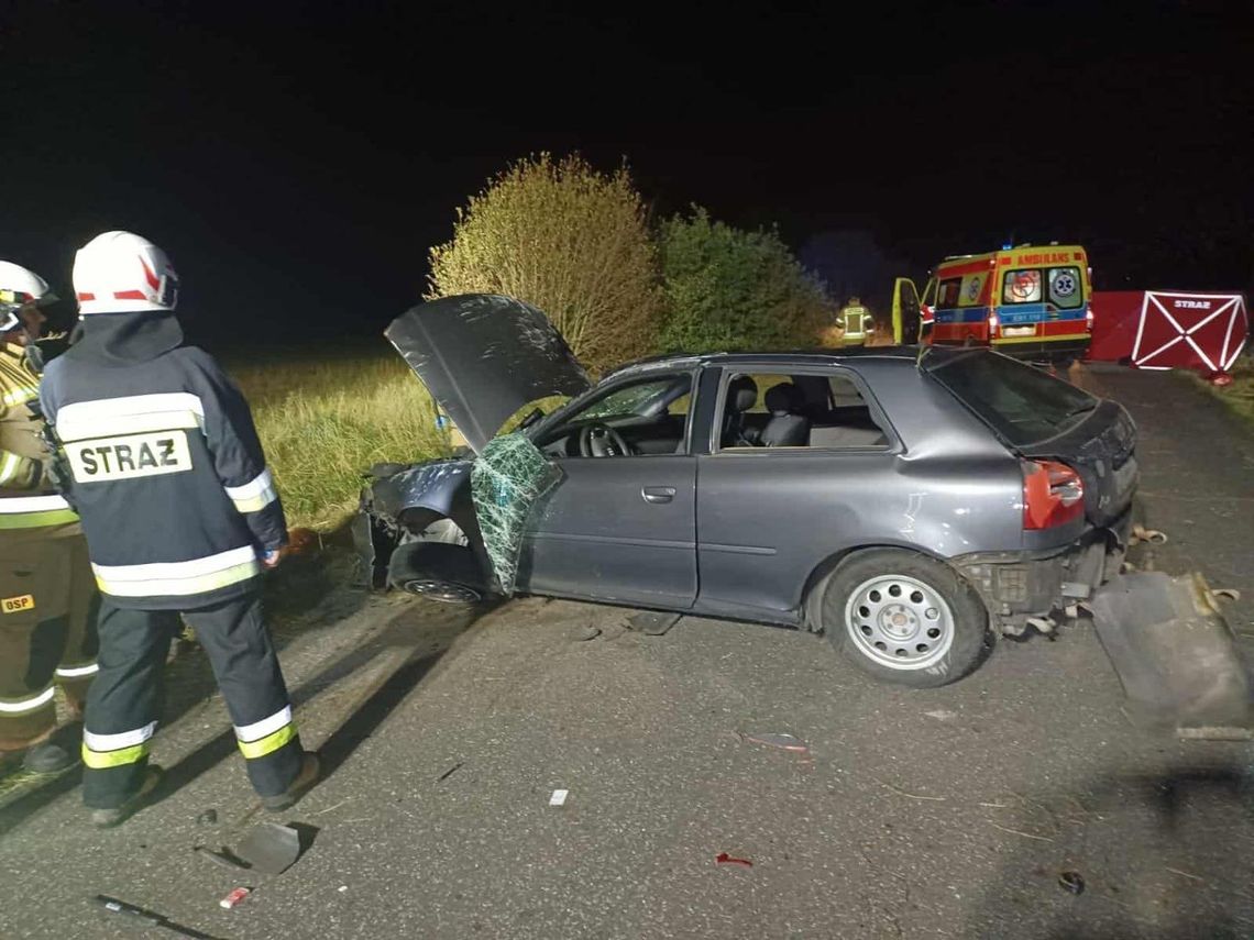 Śmiertelny finał zderzenia z sarną. Audi dachowało, ratownikom nie udało się uratować kierowcy