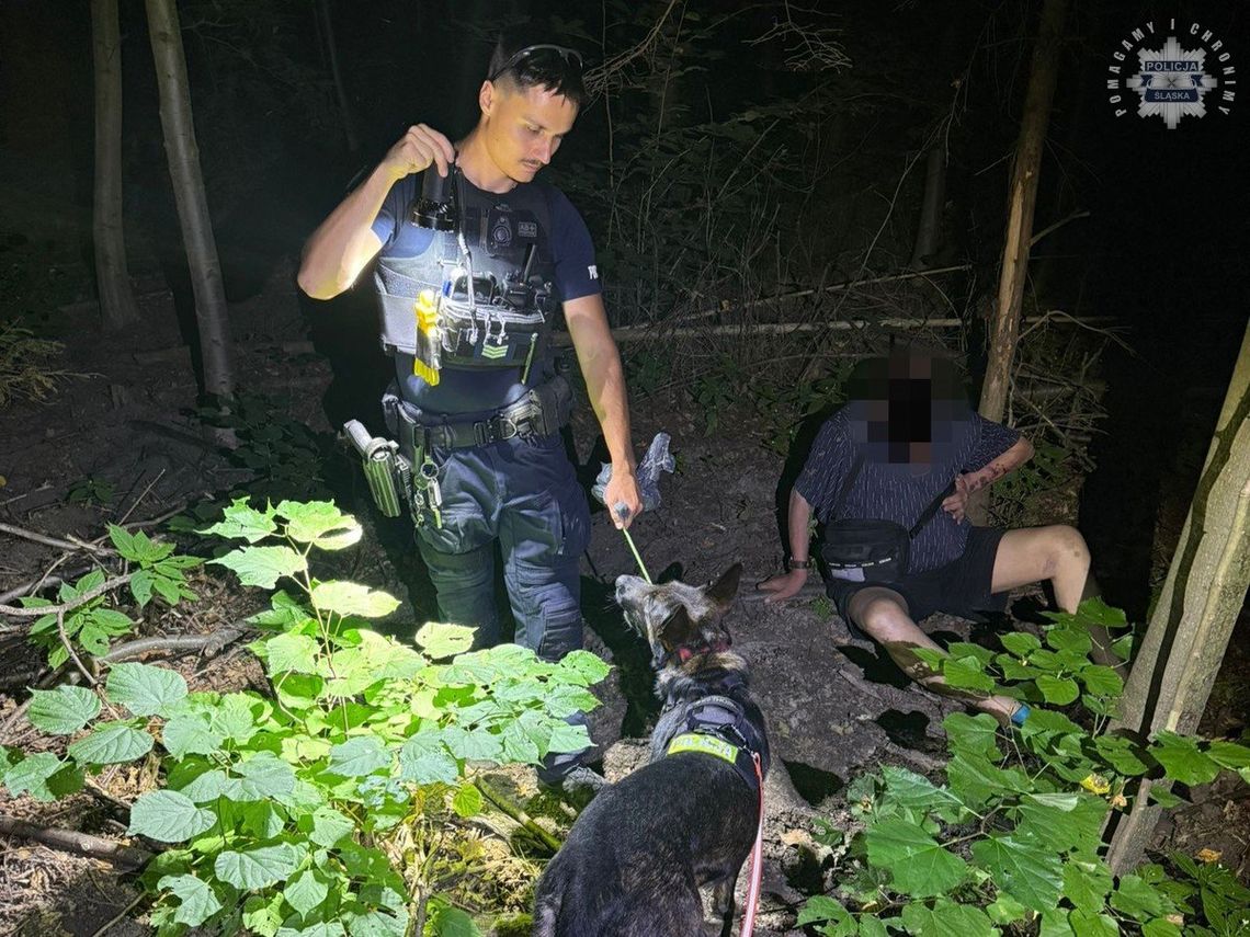 Spowodował kolizję i uciekł do lasu. Pijanego kierowcę wytropił policyjny pies