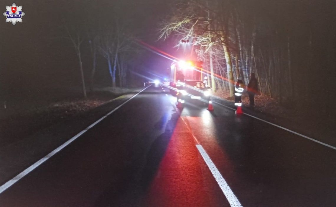 Spowodował wypadek śmiertelny i uciekł z miejsca. Był pijany i miał sądowy zakaz jazdy