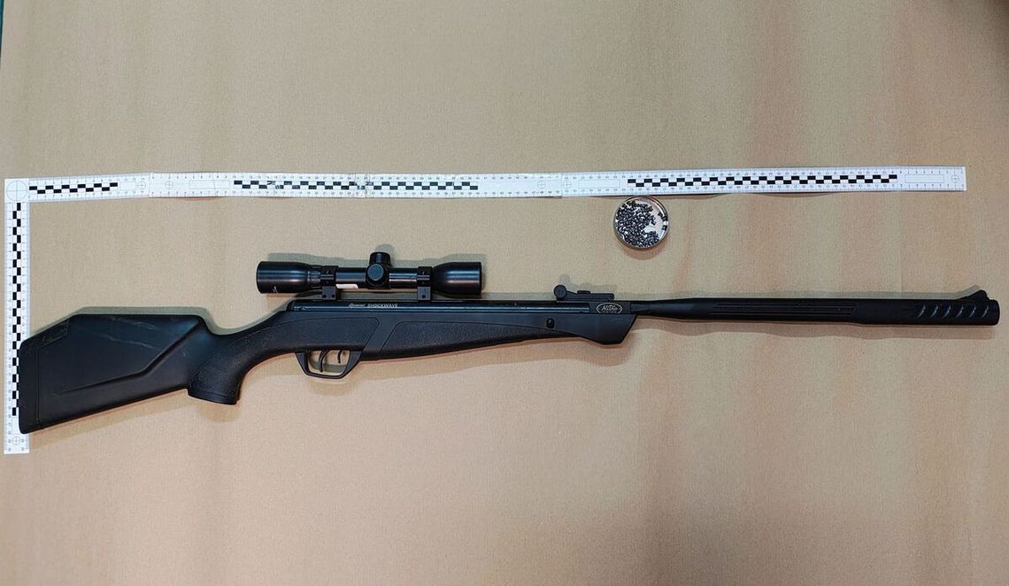 Strzelał do kota z wiatrówki. Zwierzę trzeba było uśpić, 47-latkowi grozi 5 lat więzienia