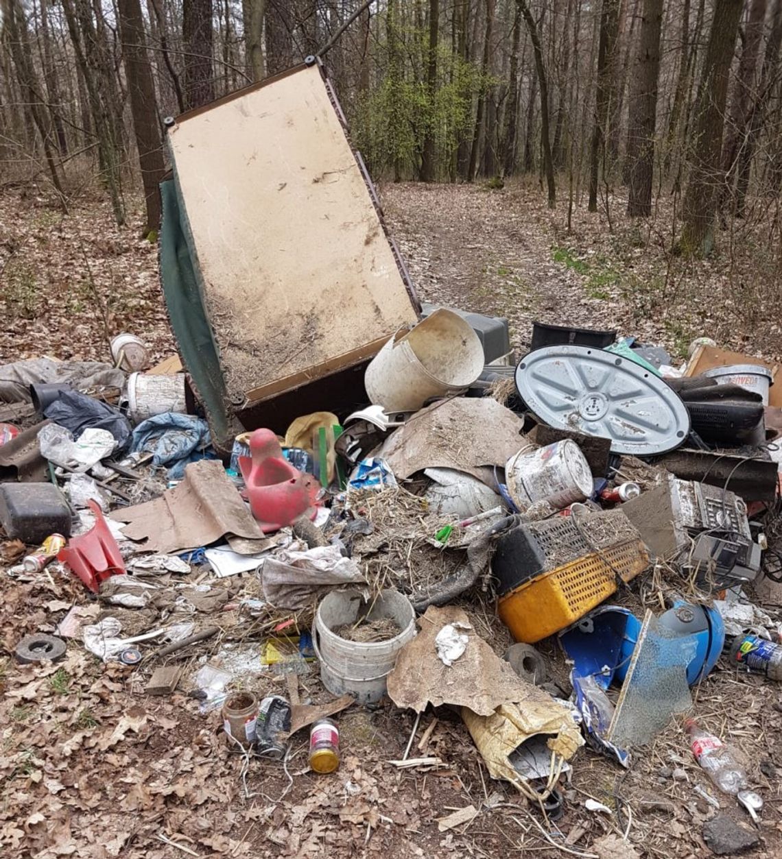 Strzelił sobie hat tricka. Był pijany, wjechał do lasu mimo zakazu i wyrzucił tam śmieci