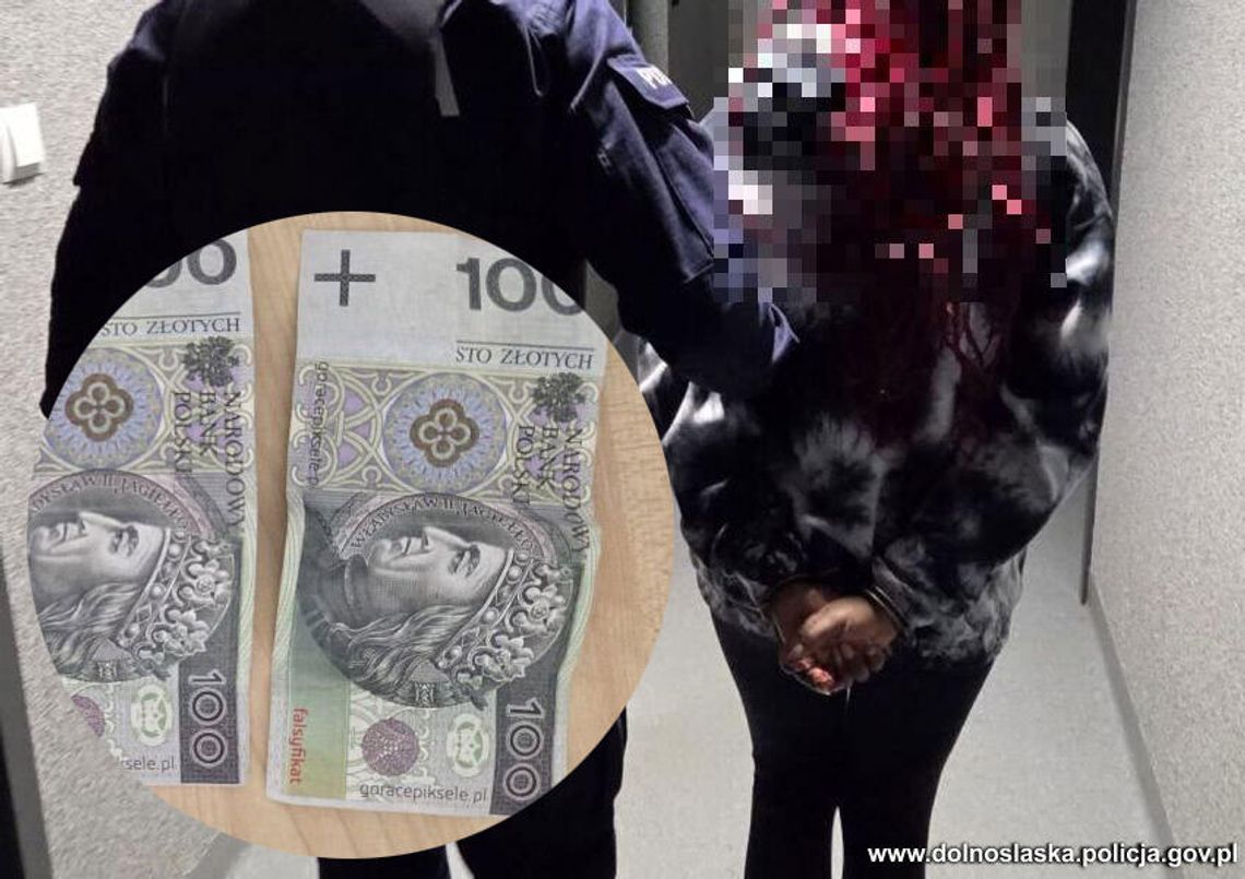 Studentki z Afryki chciały zapłacić w sklepie zabawkowymi stówkami. Teraz tłumaczą, że nie wiedziały