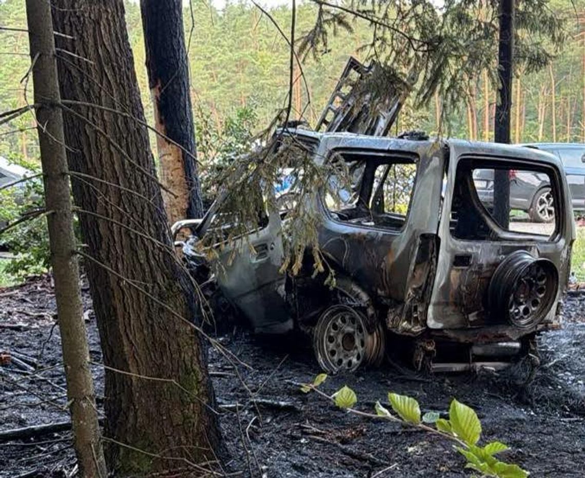 Suzuki zapaliło się po uderzeniu w drzewo. Kierowca zginął na miejscu, dwaj pasażerowie są ranni