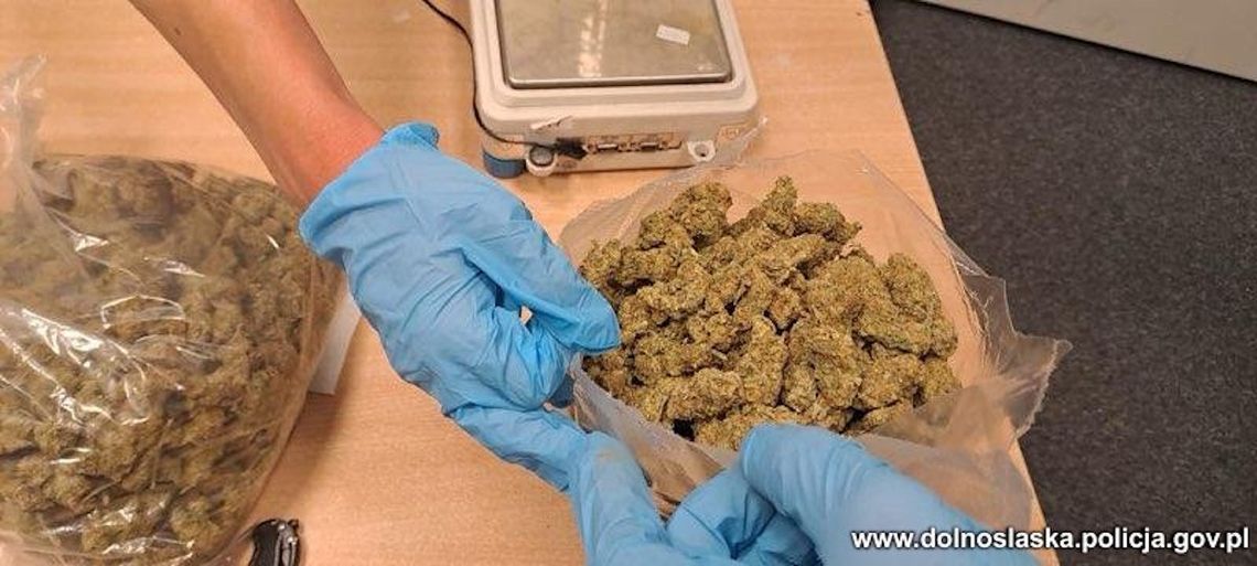 Szarpał i gryzł policjanta, bo chciał uniknąć konsekwencji za posiadanie kilograma marihuany