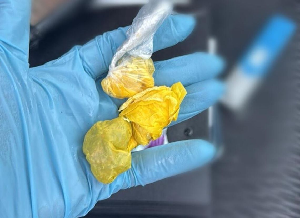 Szukał rogów w lesie, znalazł... narkotyki i je zażył. 24-latek tłumaczył się tak policjantce Szukał rogów w lesie, znalazł... narkotyki i je zażył. 24-latek tłumaczył się tak policjantce