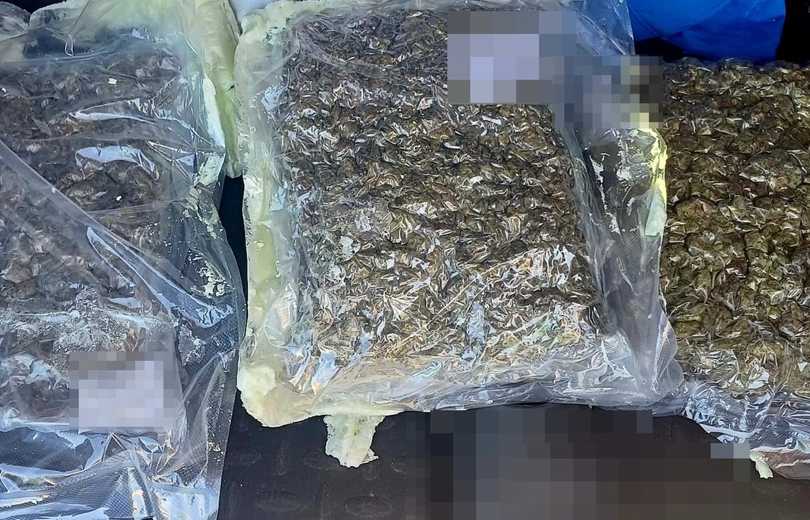 Szukali go w sprawie narkotykowej. 41-latek wpadł z ponad 3 kilogramami marihuany