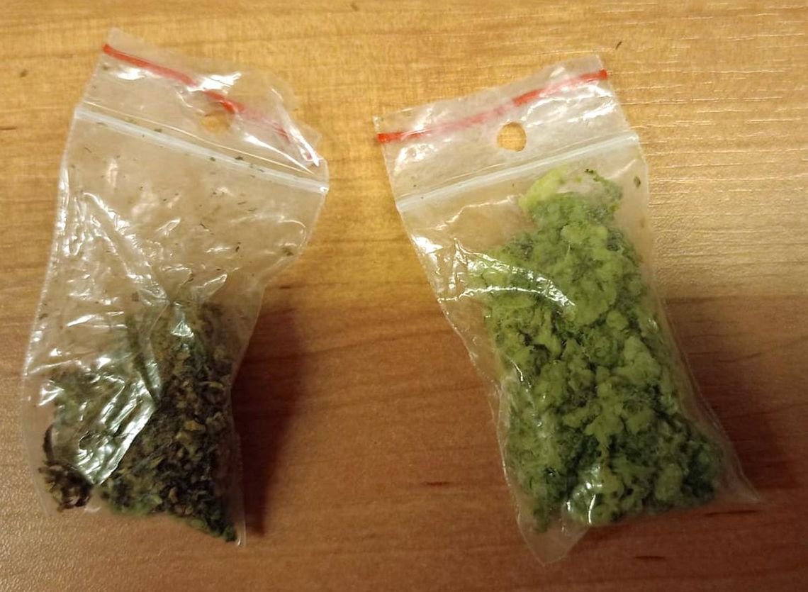 Tajniacy wyczuli od 17-latka zapach marihuany. Chciał ich zmylić, mówiąc, że w kieszeni ma kabanosy