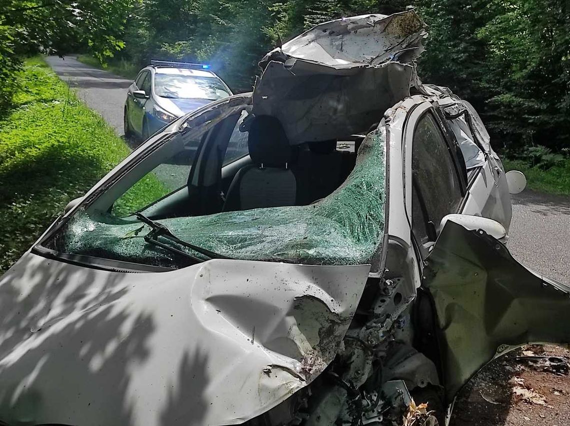 Tak wygląda mała toyota po zderzeniu z łosiem. Dwie osoby trafiły do szpitala. Zwierzę uciekło