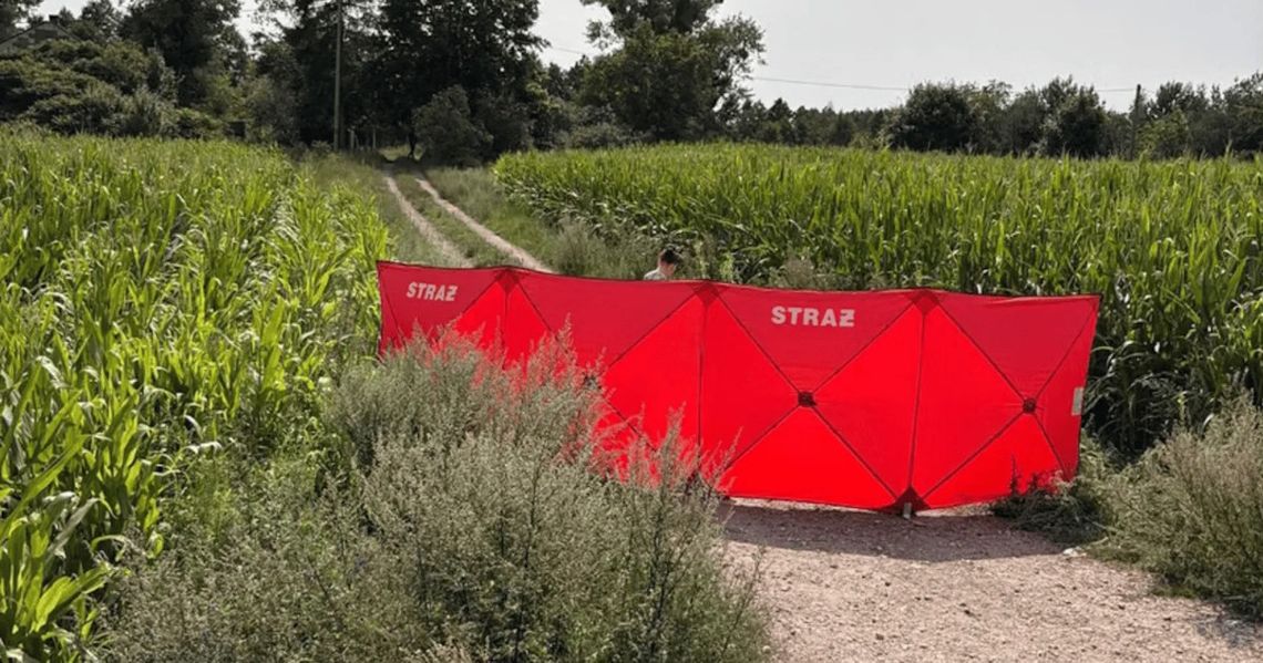 Tragedia na podjeździe. Kierowca śmiertelnie potrącił własnego brata