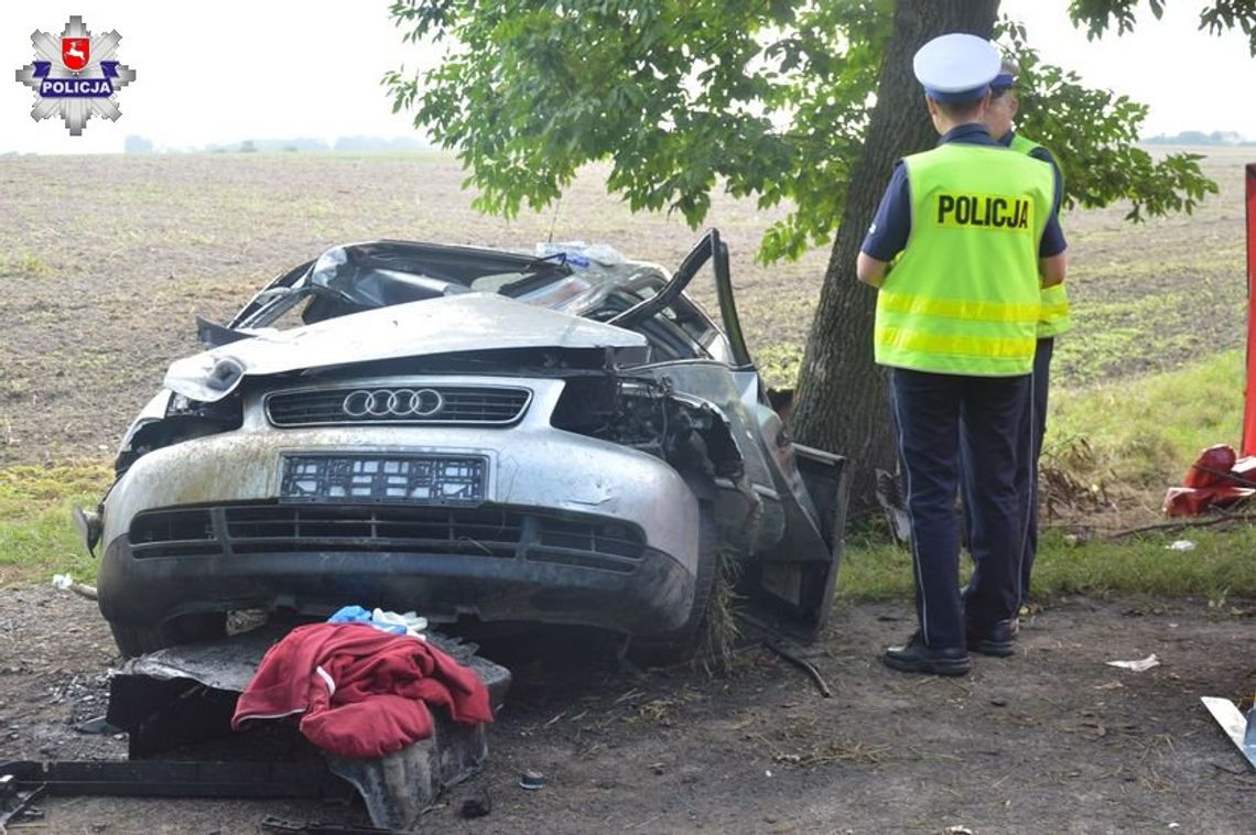 Tragiczne zderzenie audi z łosiem. 33-letni kierowca poniósł śmierć na miejscu