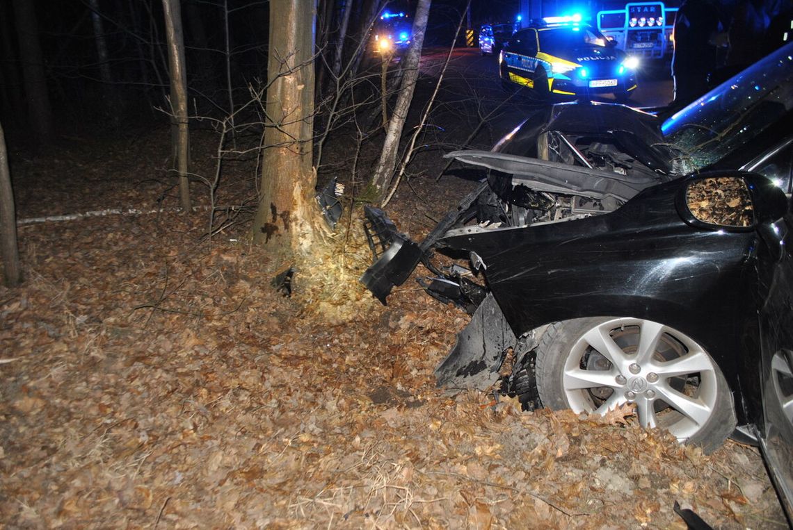 Tragiczny finał zderzenia z dzikiem. Lexus wypadł z drogi i uderzył w drzewo, zginął pasażer