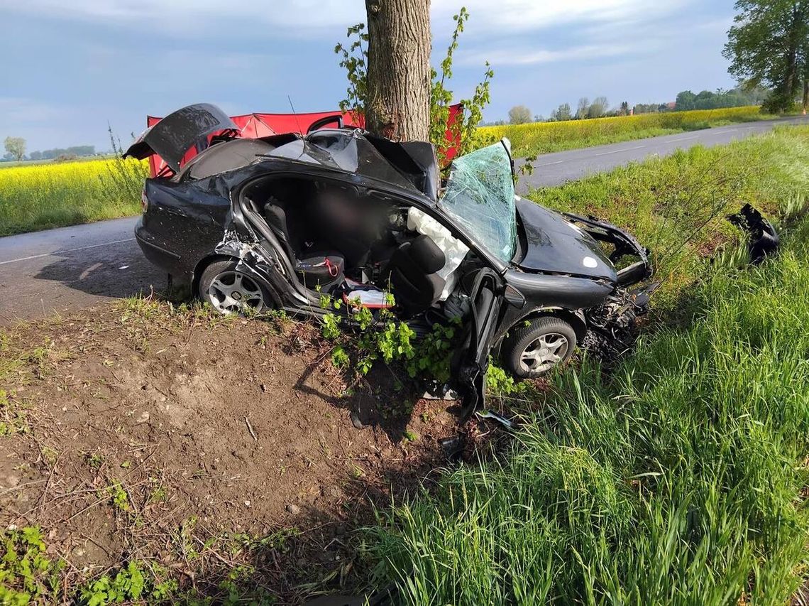 Tragiczny poranek na drodze. 19-latka uderzyła w drzewo, dziewczyna zginęła na miejscu Tragiczny poranek na drodze. 19-latka uderzyła w drzewo, dziewczyna zginęła na miejscu