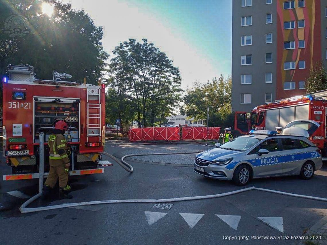 Tragiczny pożar samochodu elektrycznego. Kierowca zginął w płonącym pojeździe