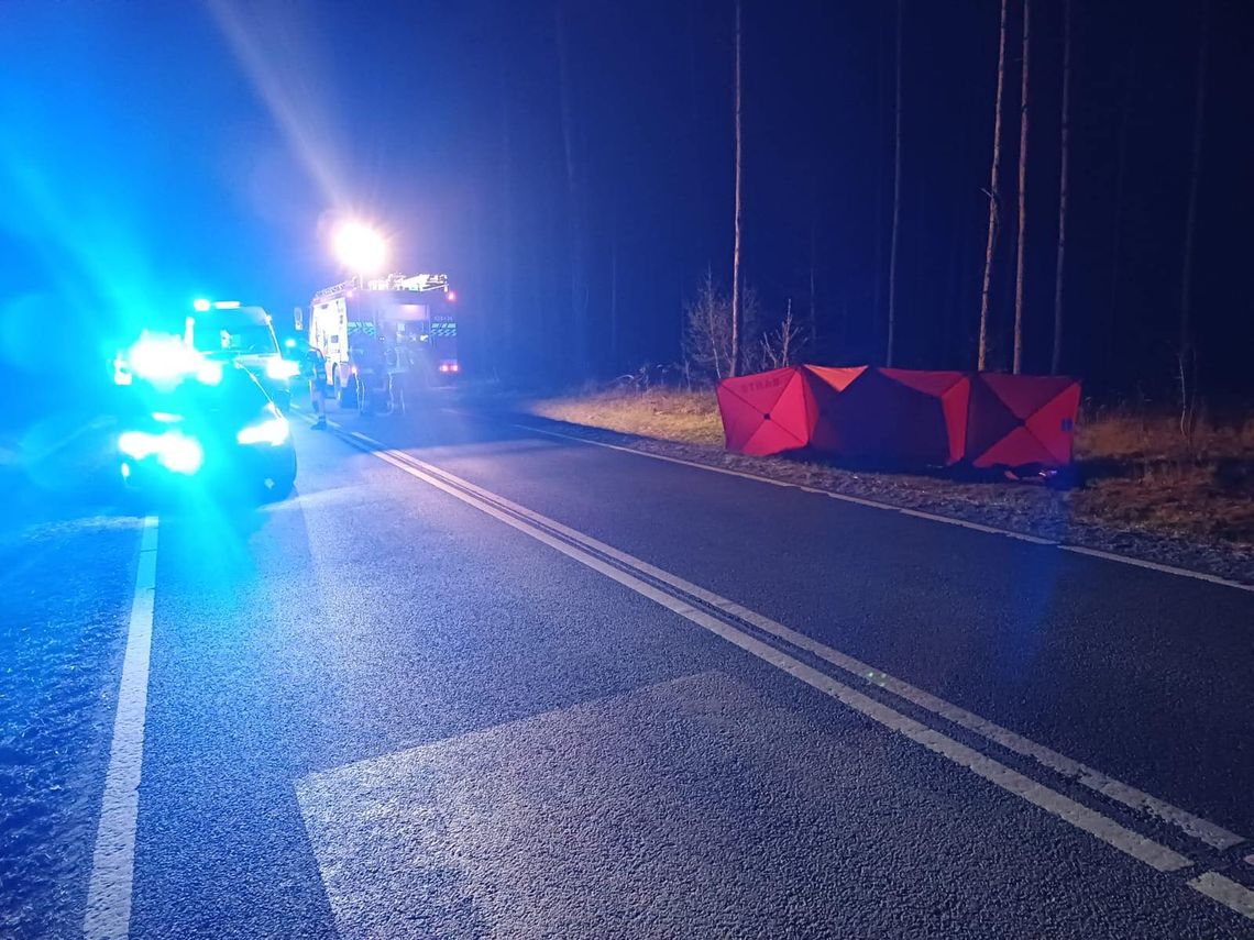 Tragiczny wypadek młodej motocyklistki. Rozpędzona Honda wbiła się w drzewo, 25-latka zginęła