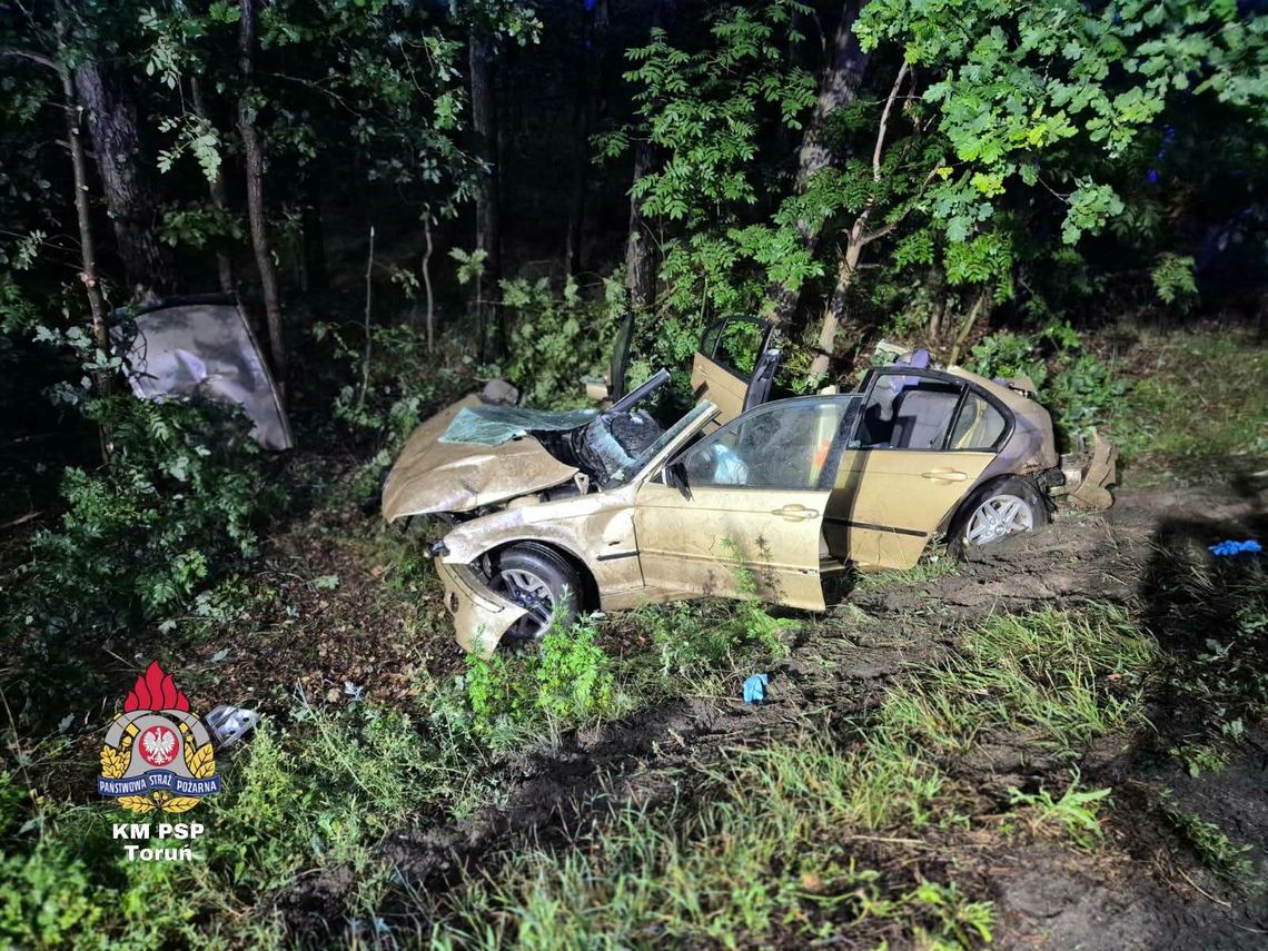 Tragiczny wypadek na DK 91. Nie żyje 19-letnia dziewczyna, BMW uderzyło w leżące drzewo Tragiczny wypadek na DK 91. Nie żyje 19-letnia dziewczyna, BMW uderzyło w leżące drzewo